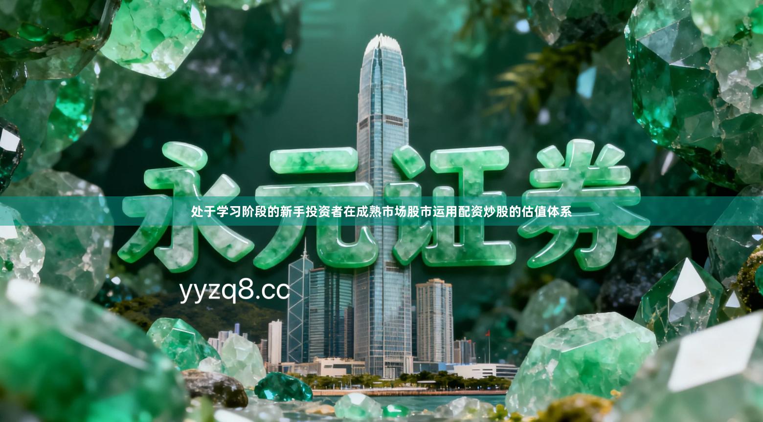 处于学习阶段的新手投资者在成熟市场股市运用配资炒股的估值体系